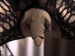 yes this is the most huge clitoris that I saw